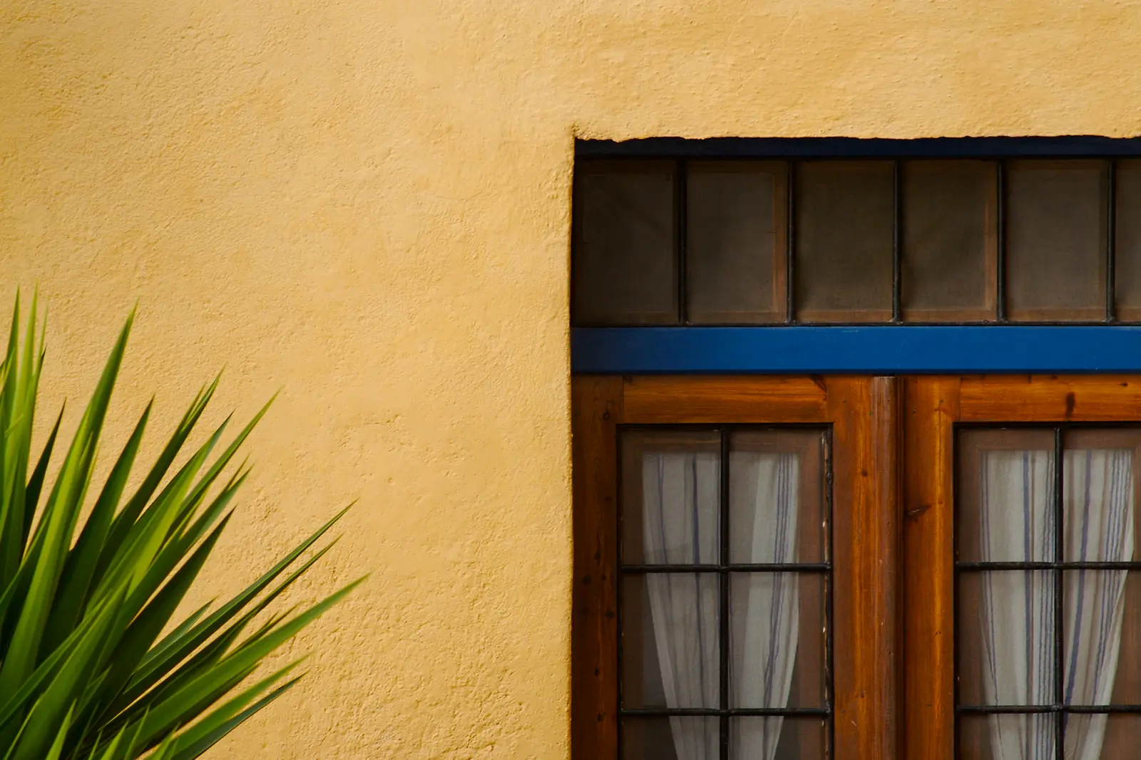 Stucco Installation